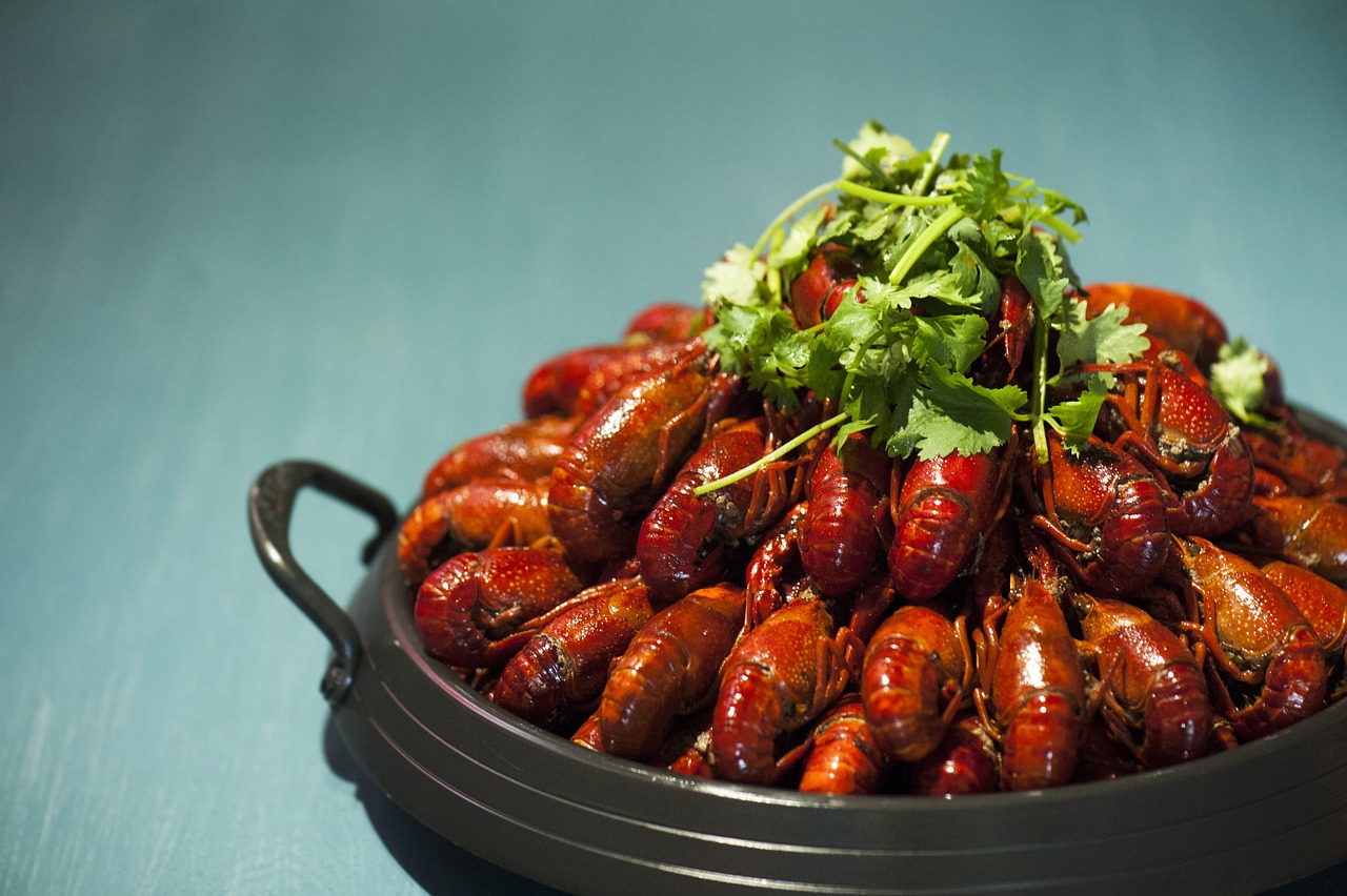사랑스러운 조화, 라봉이와의 소소한 고성 여행 이야기