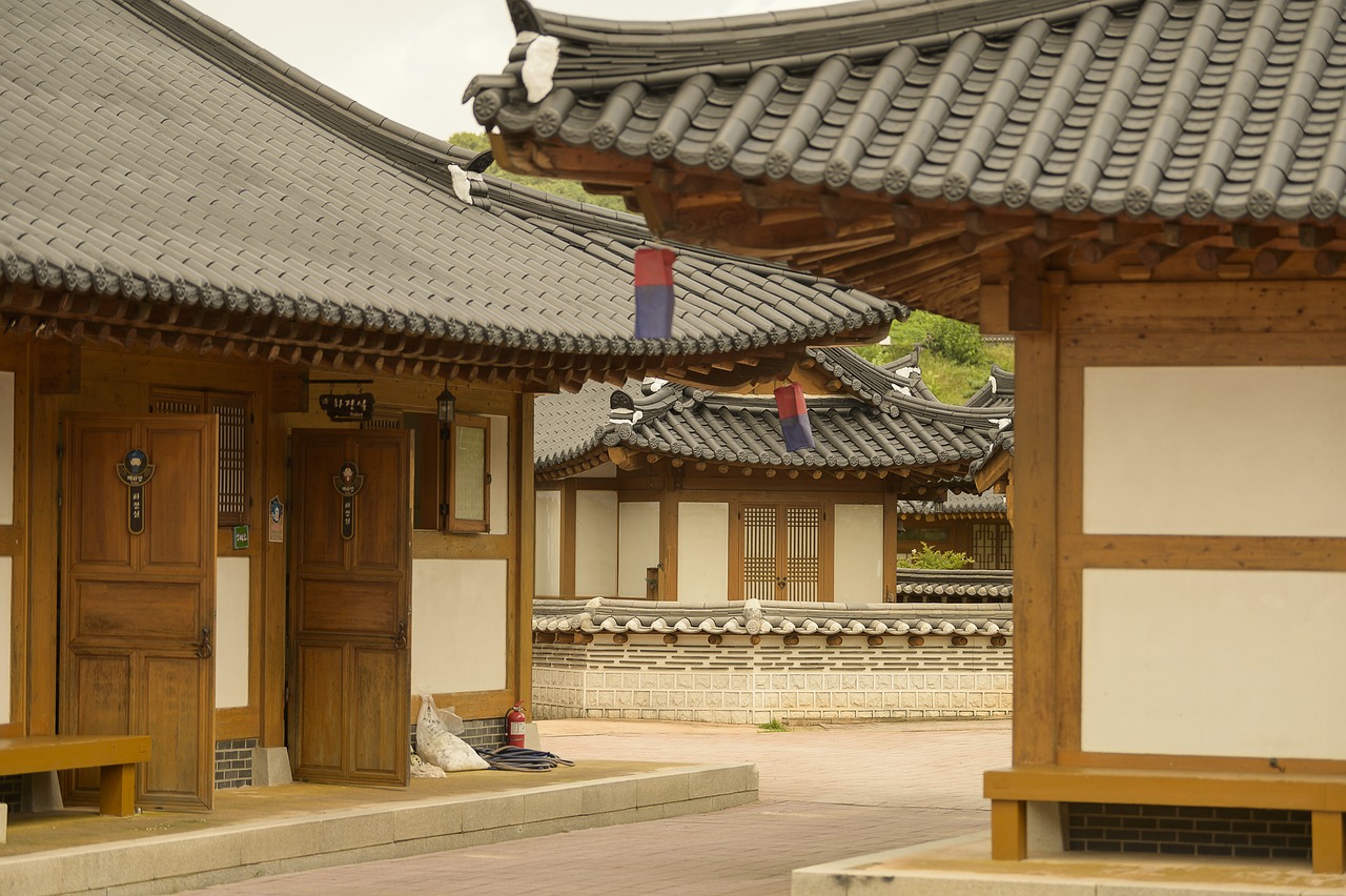 가을, 꽃과 풍력의 환상적인 만남! 경남 거창 아스타국화 꽃구경