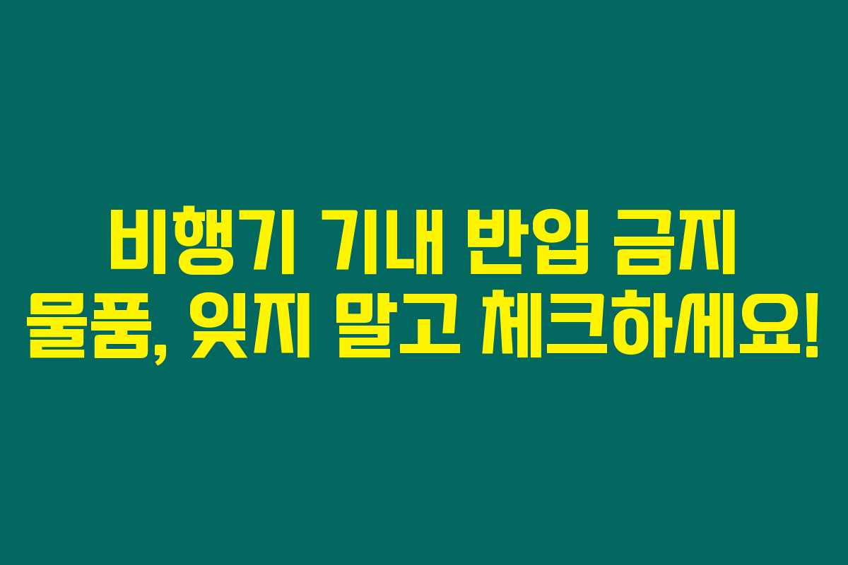 비행기 기내 반입 금지 물품, 잊지 말고 체크하세요!