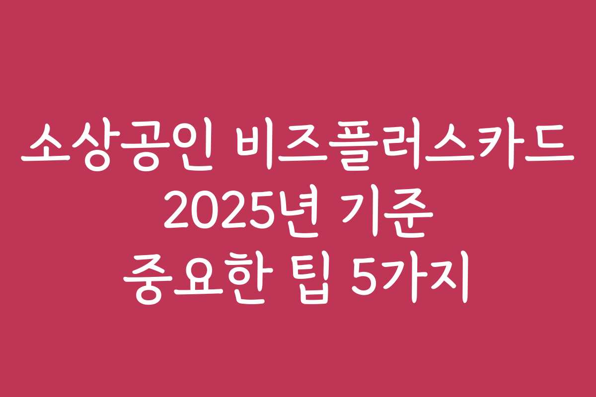 소상공인 비즈플러스카드 2025년 기준 중요한 팁 5가지