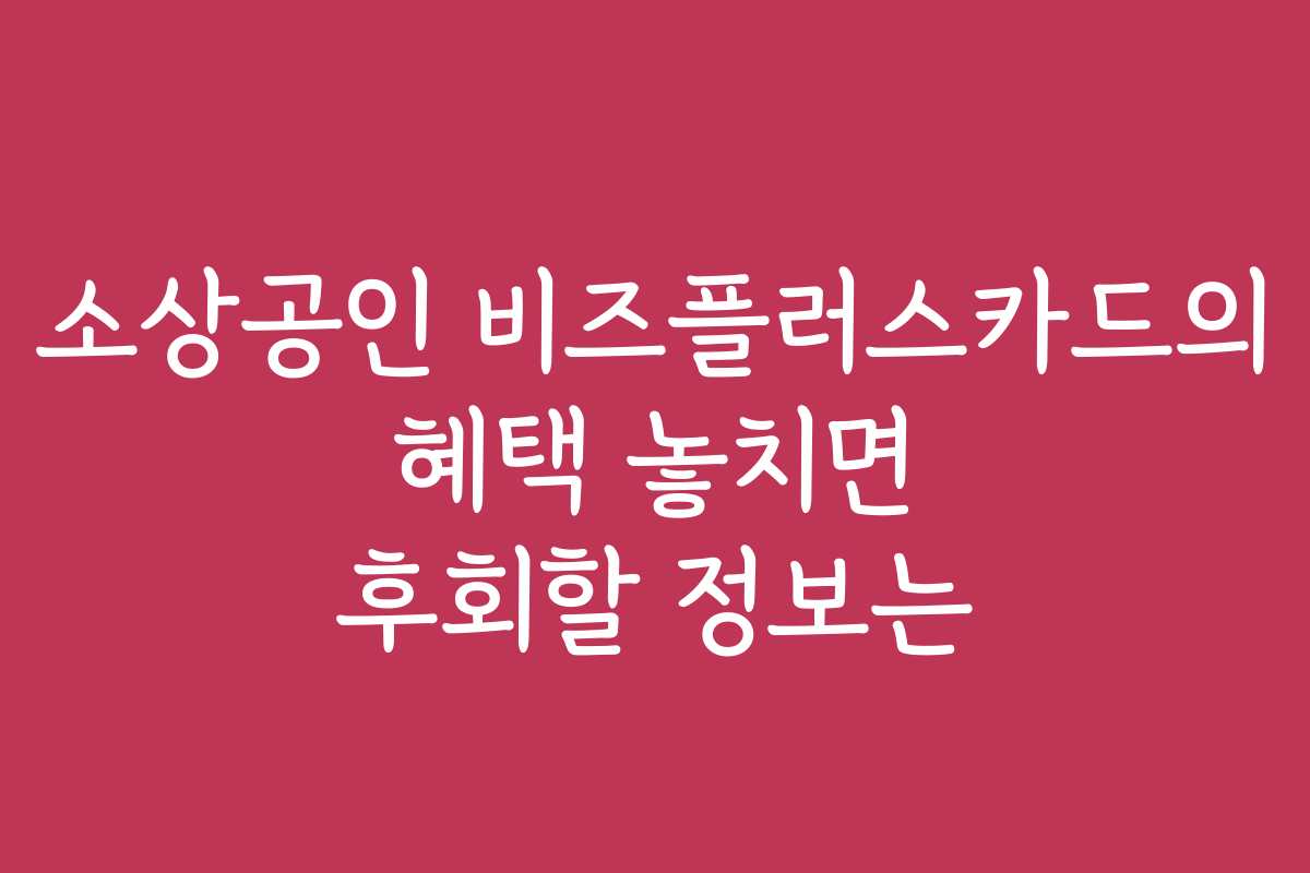 소상공인 비즈플러스카드의 혜택 놓치면 후회할 정보는