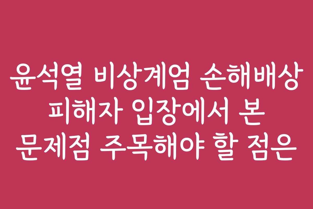 윤석열 비상계엄 손해배상 피해자 입장에서 본 문제점 주목해야 할 점은