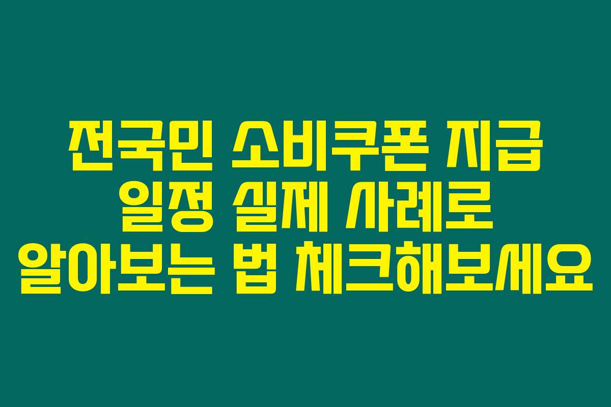 전국민 소비쿠폰 지급 일정 실제 사례로 알아보는 법 체크해보세요