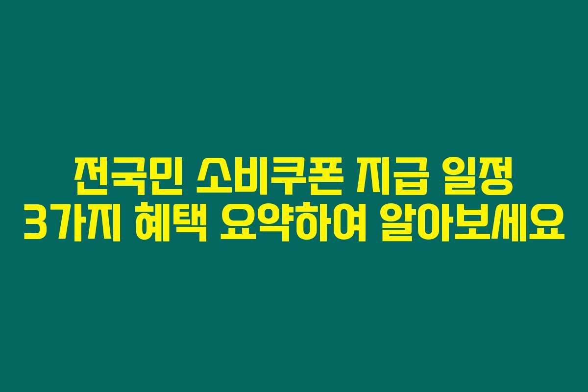 전국민 소비쿠폰 지급 일정 3가지 혜택 요약하여 알아보세요