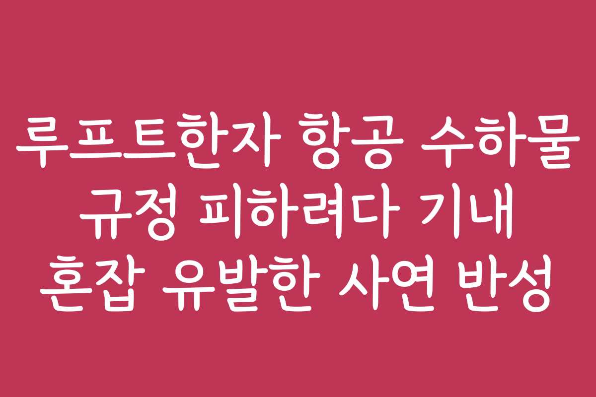 루프트한자 항공 수하물 규정 피하려다 기내 혼잡 유발한 사연 반성