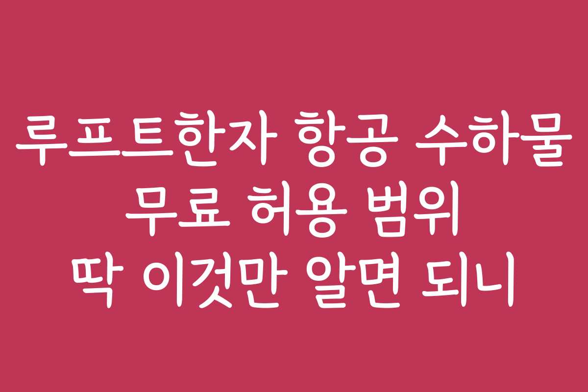 루프트한자 항공 수하물 무료 허용 범위 딱 이것만 알면 되니