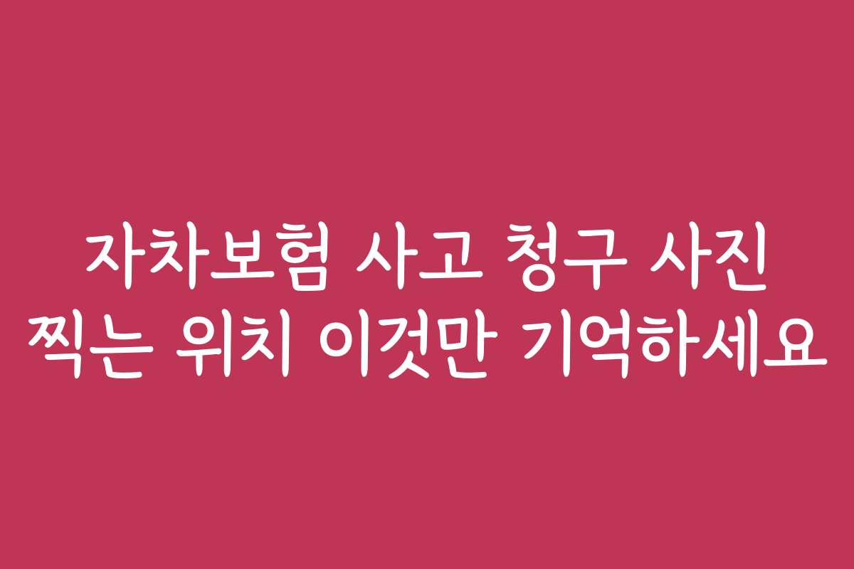 자차보험 사고 청구 사진 찍는 위치 이것만 기억하세요
