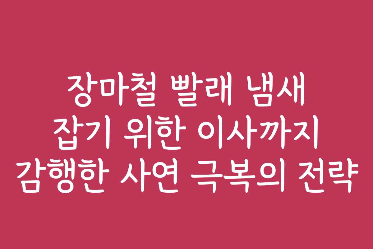 장마철 빨래 냄새 잡기 위한 이사까지 감행한 사연 극복의 전략