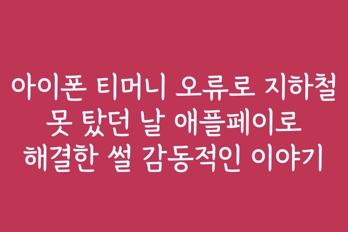 아이폰 티머니 오류로 지하철 못 탔던 날 애플페이로 해결한 썰 감동적인 이야기