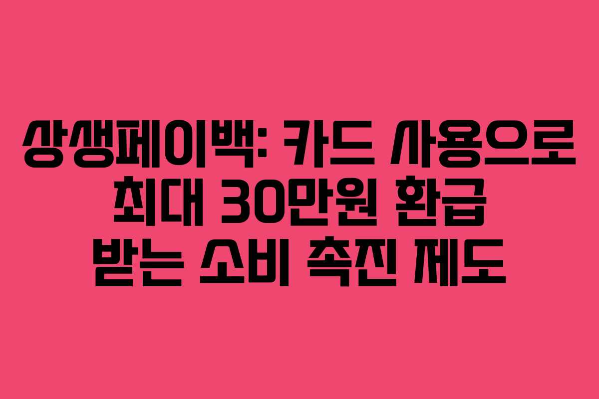 상생페이백: 카드 사용으로 최대 30만원 환급 받는 소비 촉진 제도