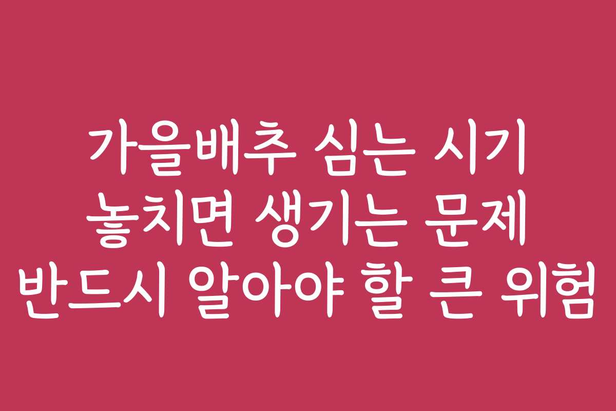 가을배추 심는 시기 놓치면 생기는 문제 반드시 알아야 할 큰 위험