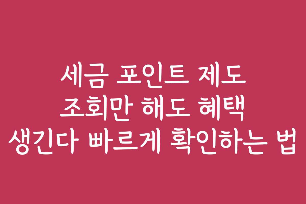 세금 포인트 제도 조회만 해도 혜택 생긴다 빠르게 확인하는 법