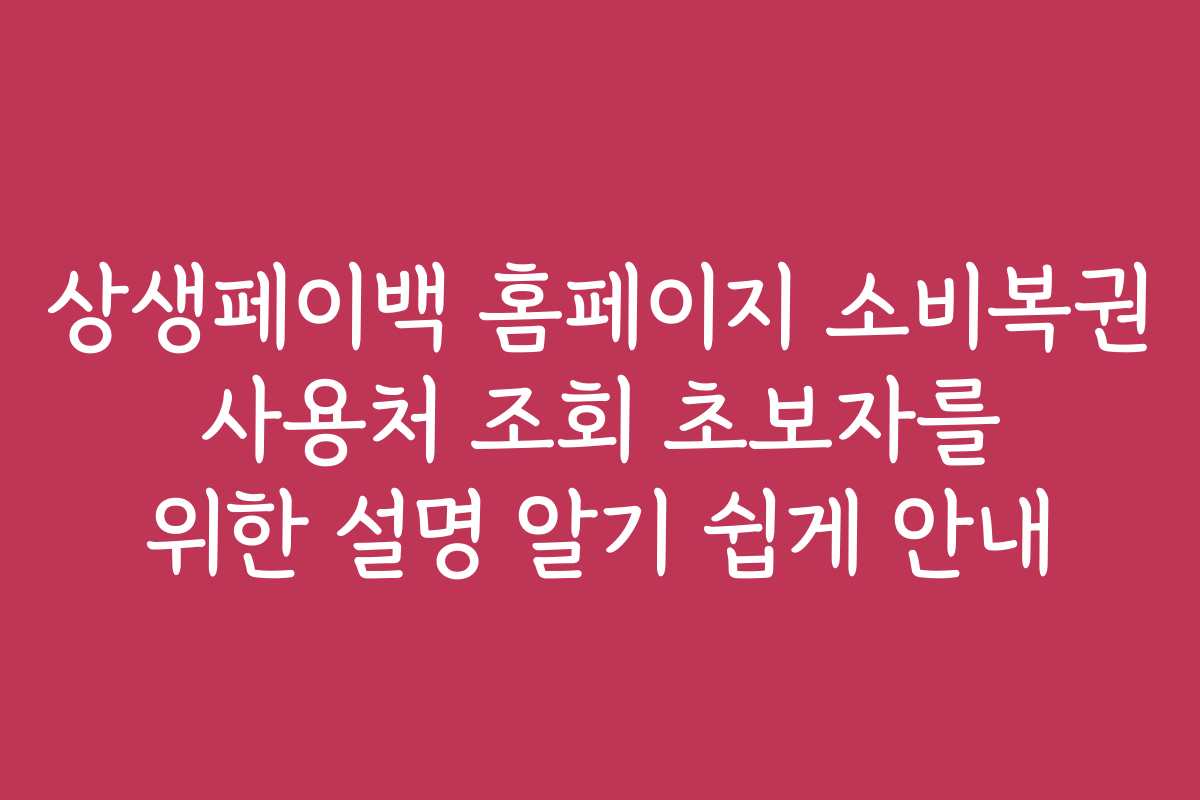 상생페이백 홈페이지 소비복권 사용처 조회 초보자를 위한 설명 알기 쉽게 안내