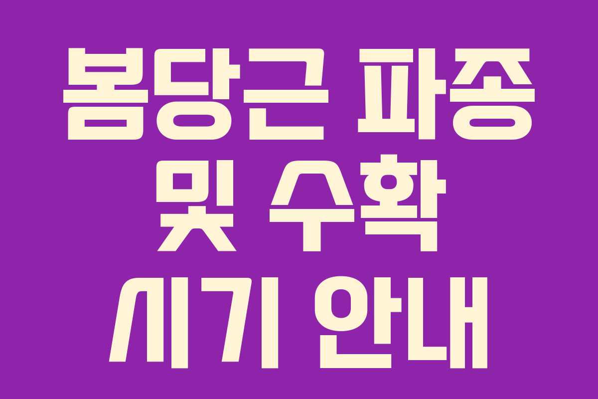 봄당근 파종 및 수확 시기 안내
