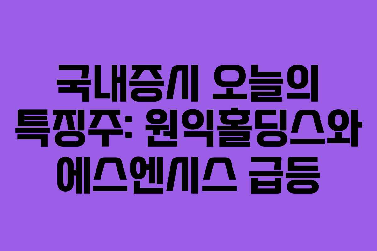 국내증시 오늘의 특징주: 원익홀딩스와 에스엔시스 급등