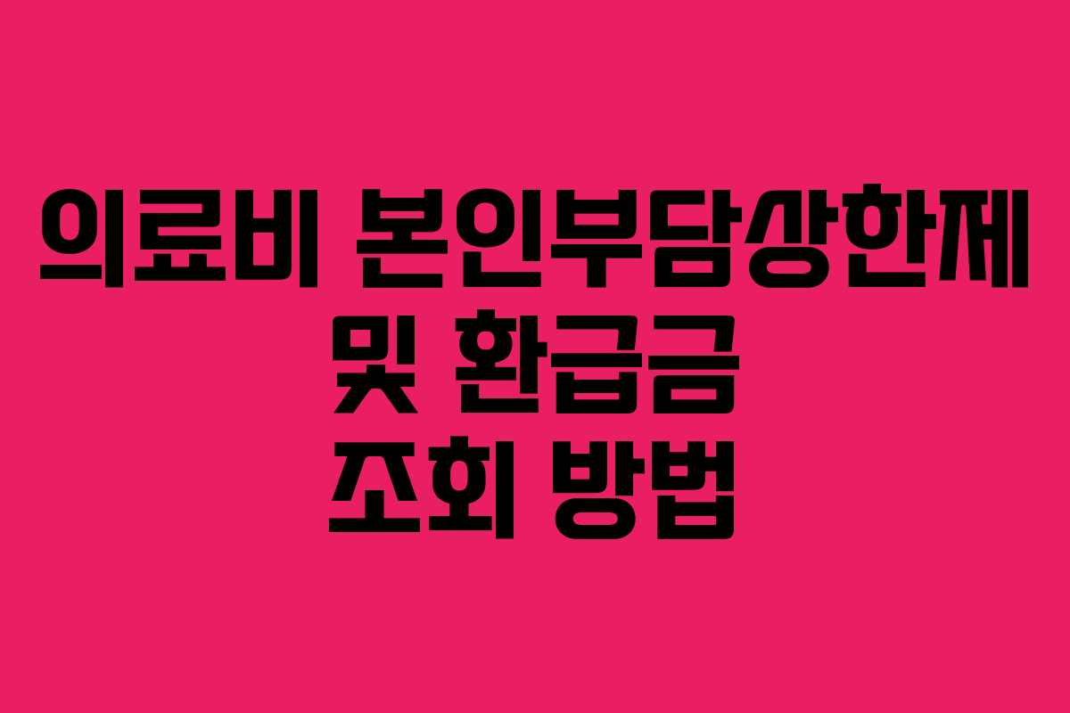 의료비 본인부담상한제 및 환급금 조회 방법