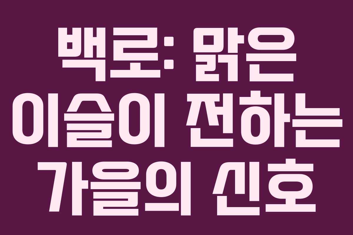 백로: 맑은 이슬이 전하는 가을의 신호