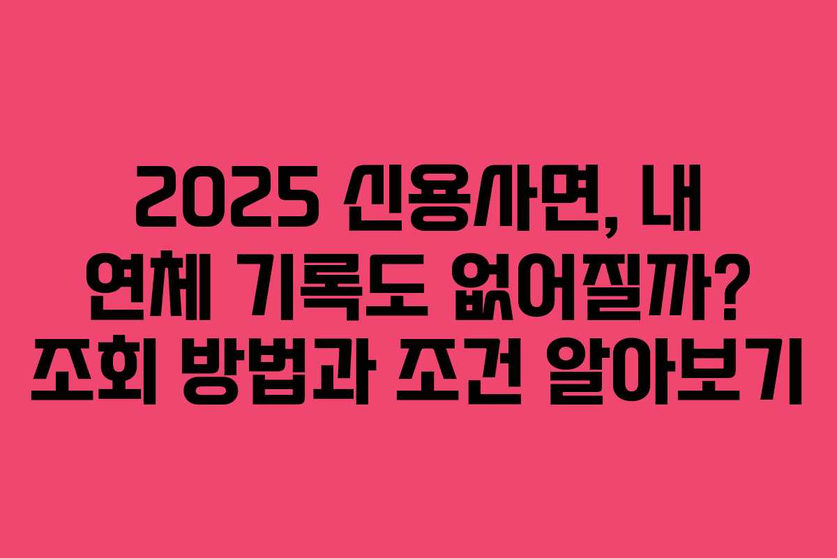 2025 신용사면, 내 연체 기록도 없어질까? 조회 방법과 조건 알아보기