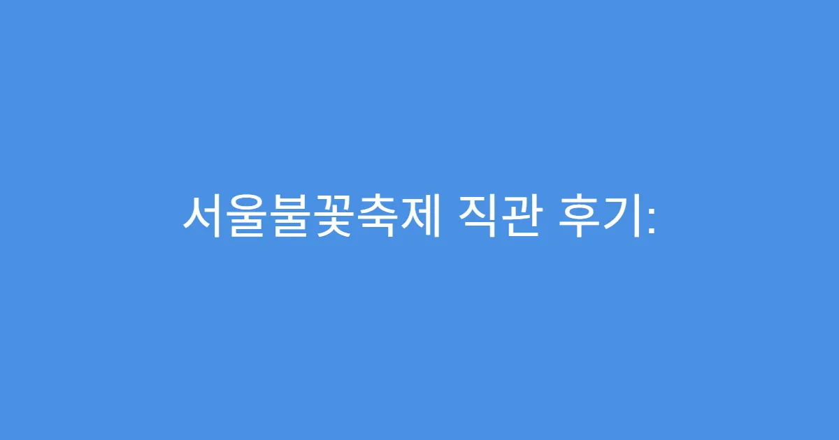 서울불꽃축제 직관 후기: 인생샷 명소