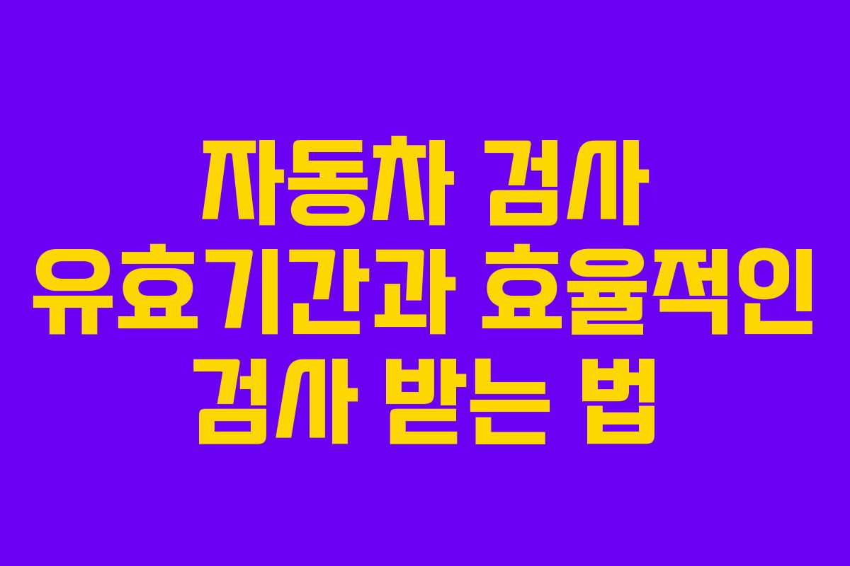 자동차 검사 유효기간과 효율적인 검사 받는 법