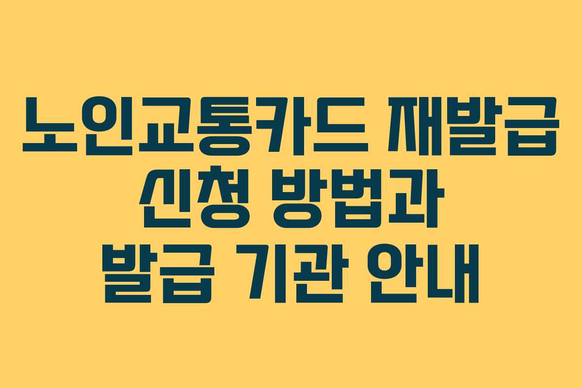 노인교통카드 재발급 신청 방법과 발급 기관 안내