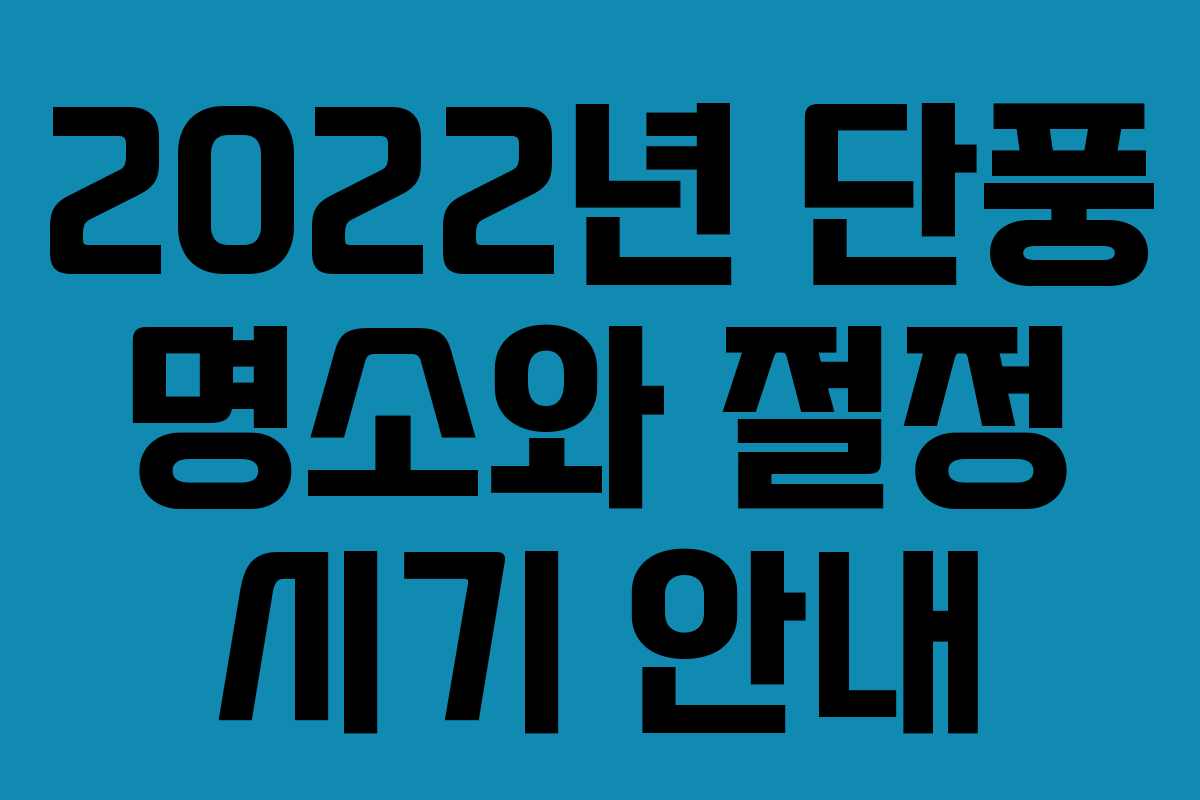 2022년 단풍 명소와 절정 시기 안내