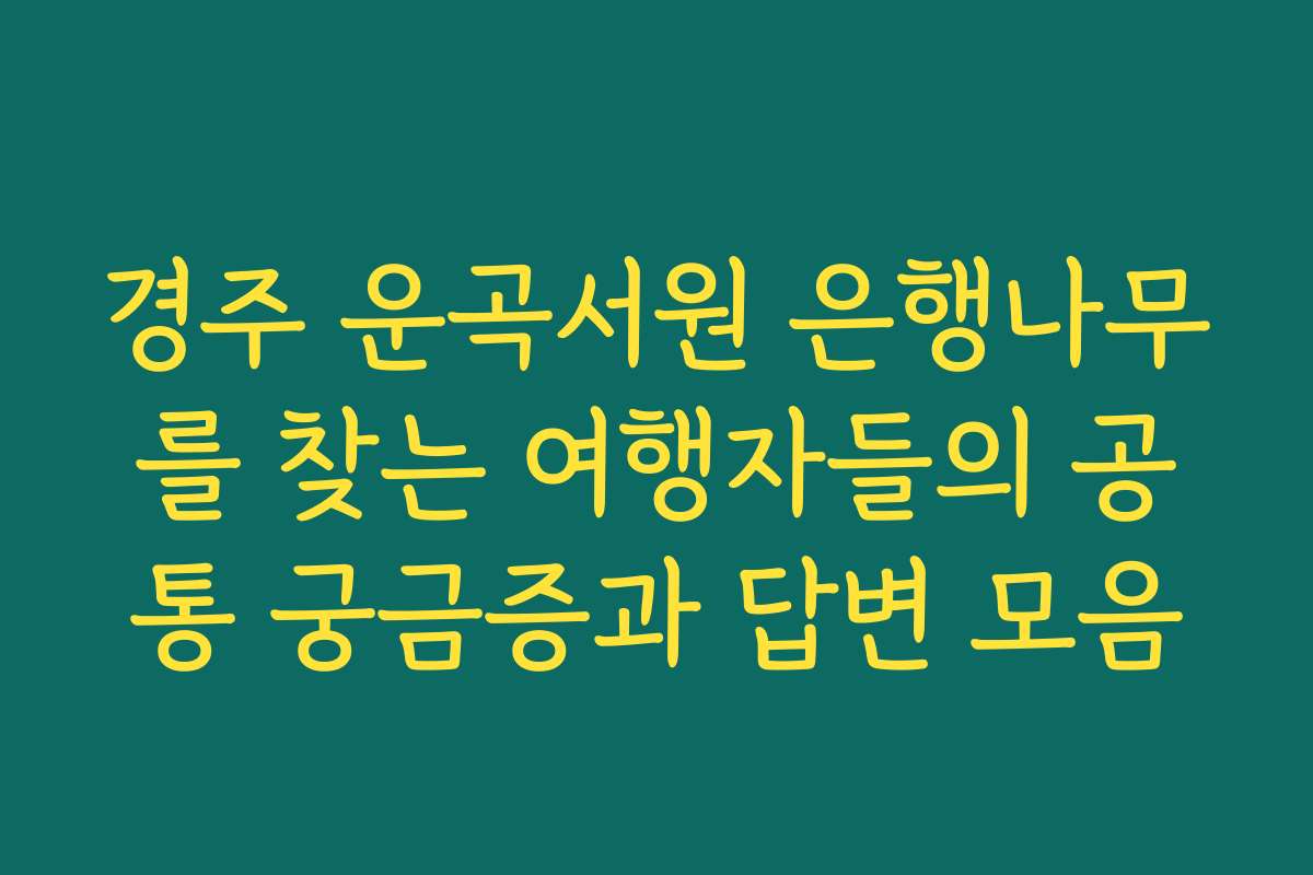 경주 운곡서원 은행나무를 찾는 여행자들의 공통 궁금증과 답변 모음