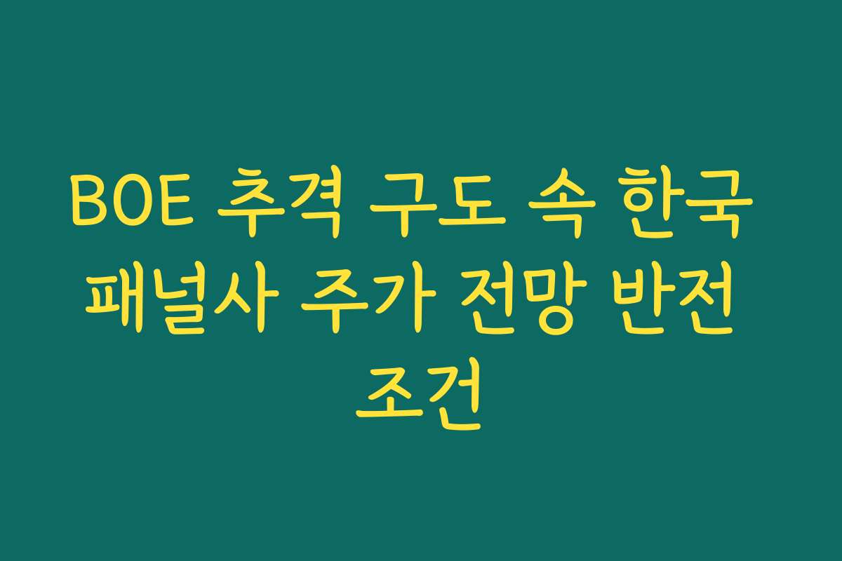 BOE 추격 구도 속 한국 패널사 주가 전망 반전 조건 BOE 추격 구도 속 한국 패널사 주가 전망 반전 조건