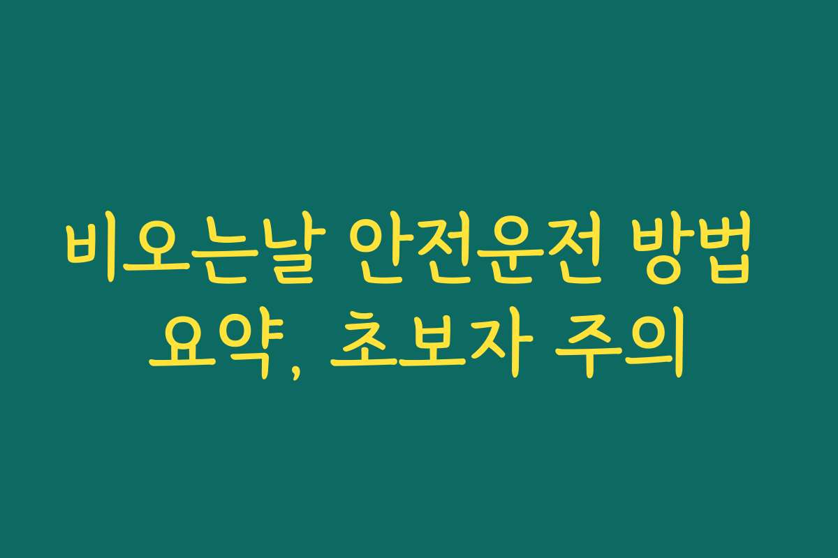 비오는날 안전운전 방법 요약, 초보자 주의