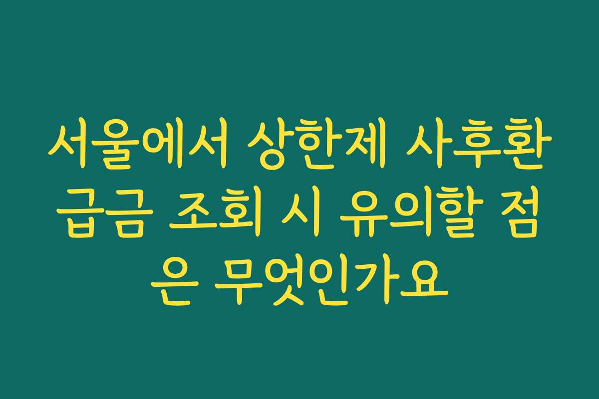 서울에서 상한제 사후환급금 조회 시 유의할 점은 무엇인가요