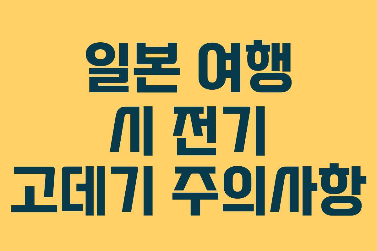 일본 여행 시 전기 고데기 주의사항 일본 여행 시 전기 고데기 주의사항