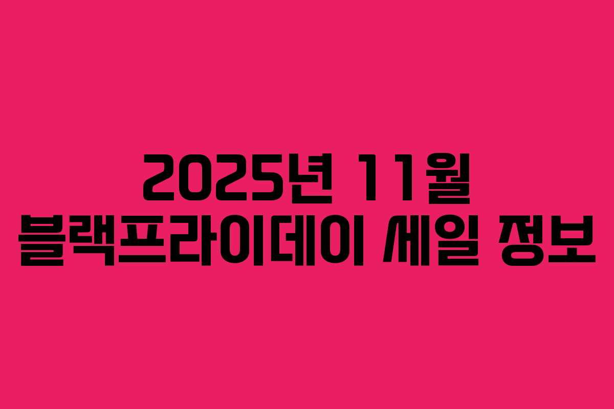 2025년 11월 블랙프라이데이 세일 정보