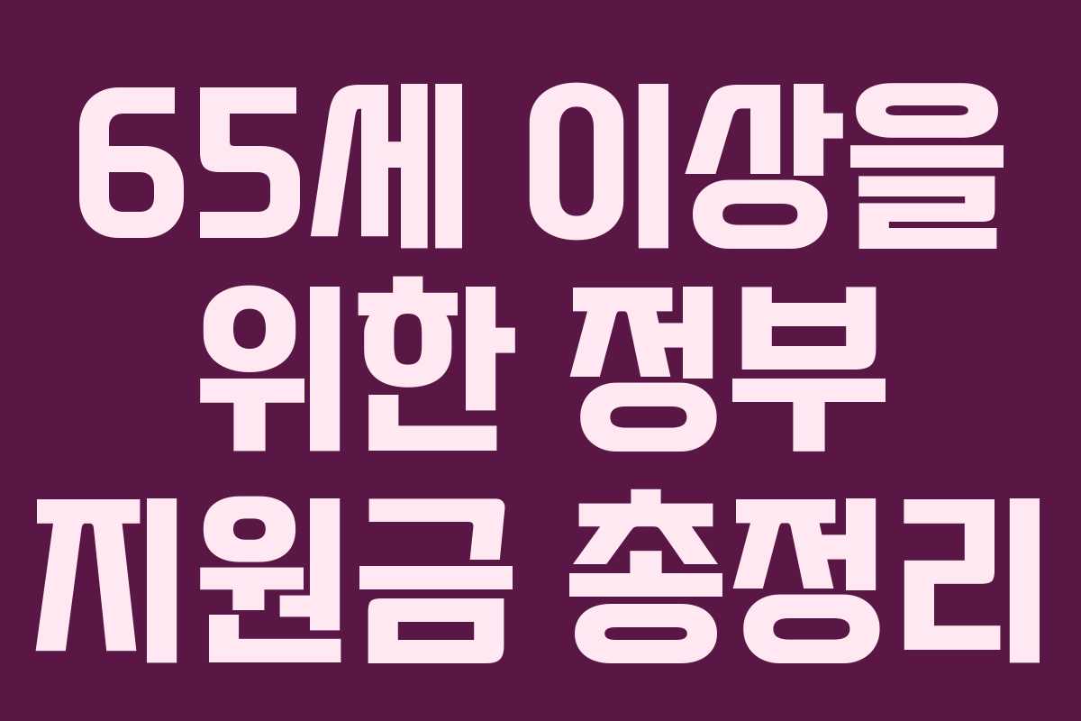 65세 이상을 위한 정부 지원금 총정리 65세 이상을 위한 정부 지원금 총정리