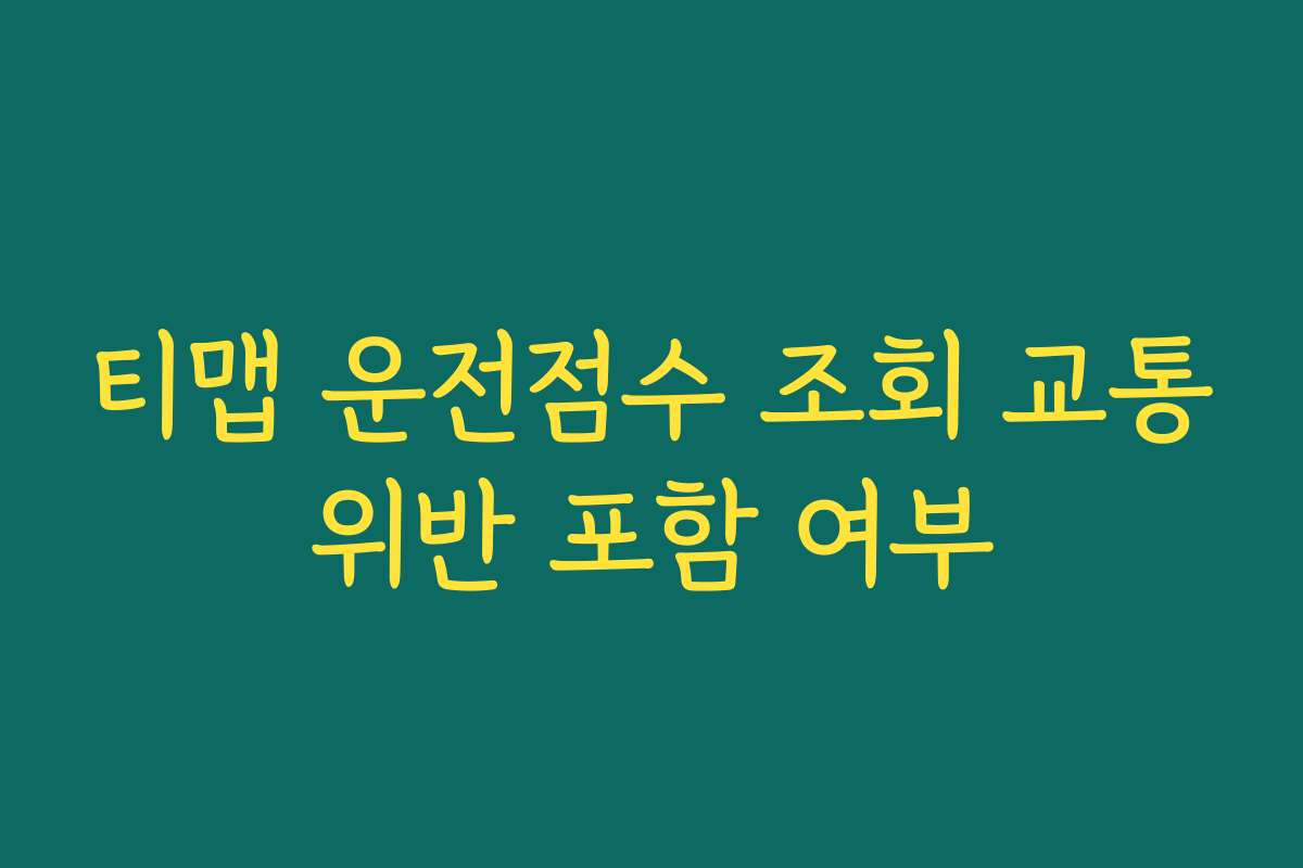 티맵 운전점수 조회 교통위반 포함 여부