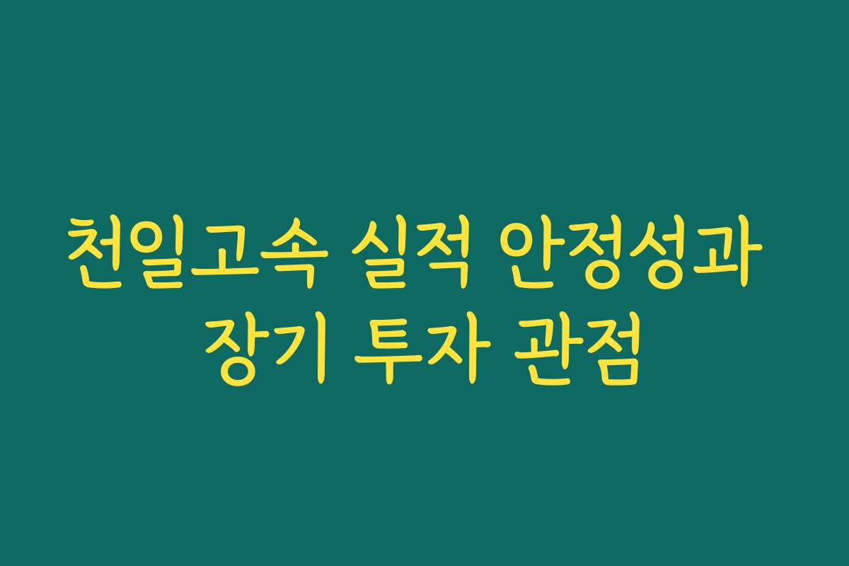 천일고속 실적 안정성과 장기 투자 관점