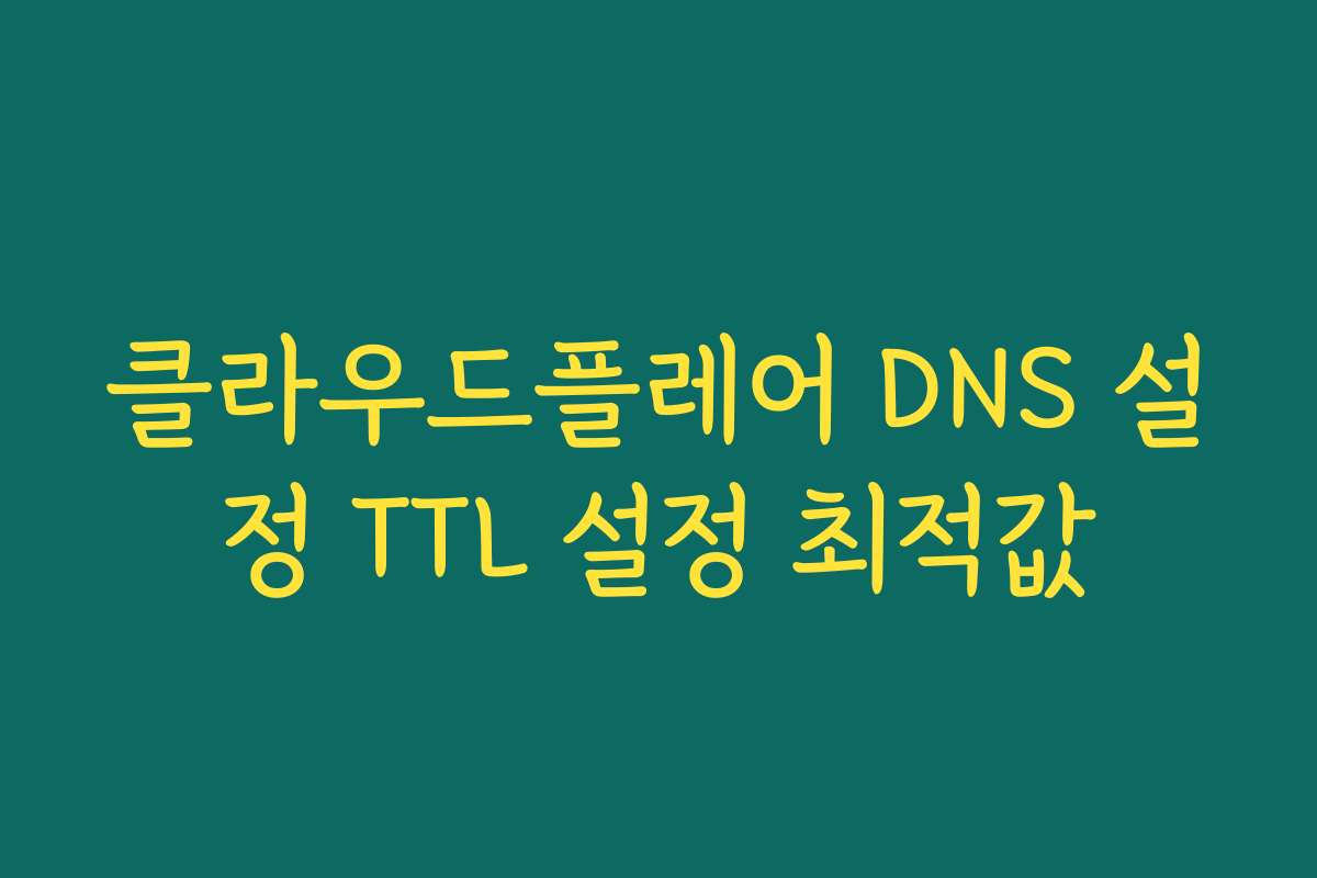 클라우드플레어 DNS 설정 TTL 설정 최적값