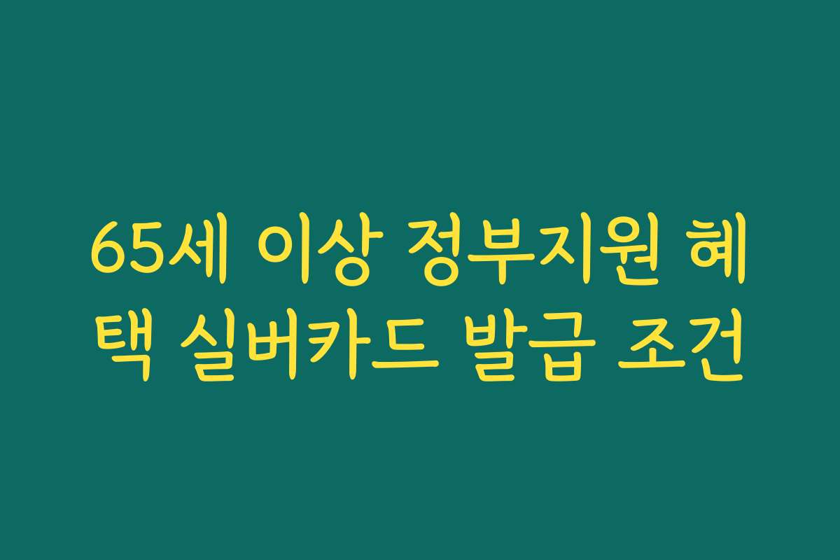 65세 이상 정부지원 혜택 실버카드 발급 조건