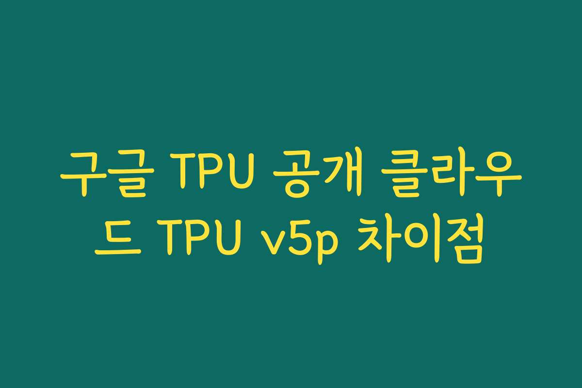 구글 TPU 공개 클라우드 TPU v5p 차이점
