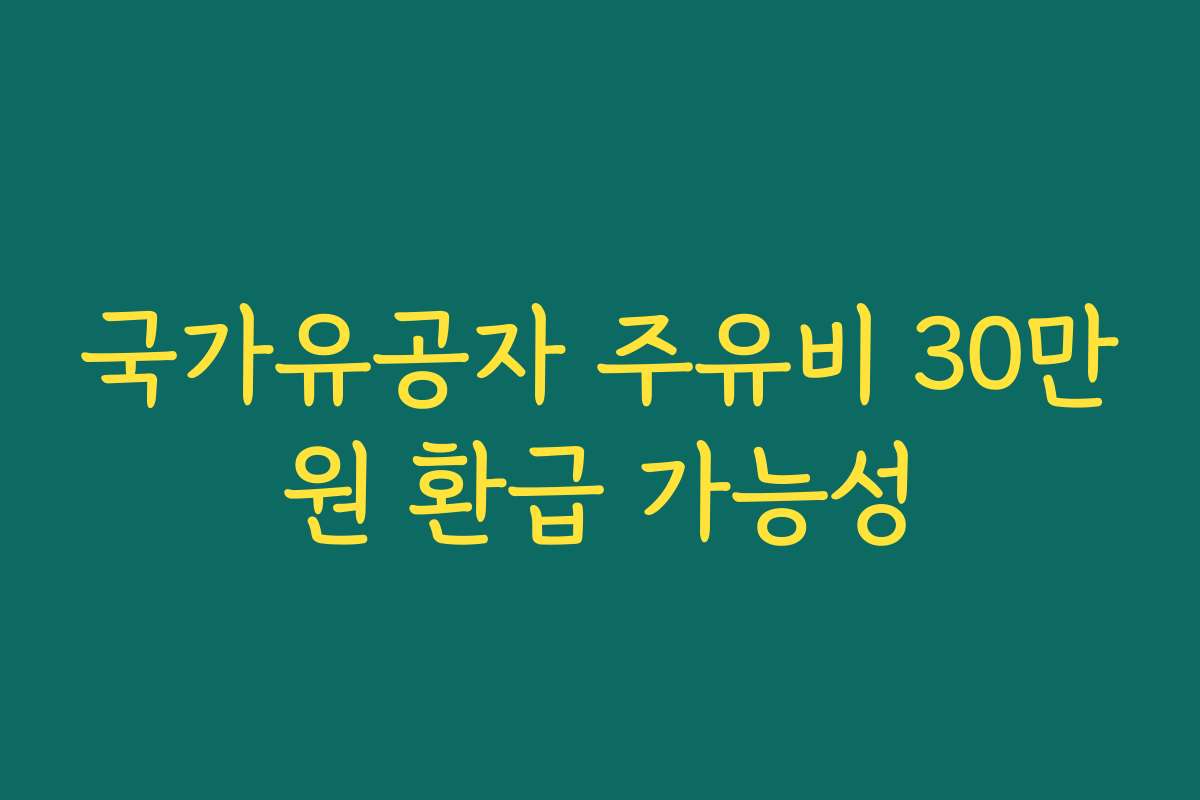 국가유공자 주유비 30만원 환급 가능성
