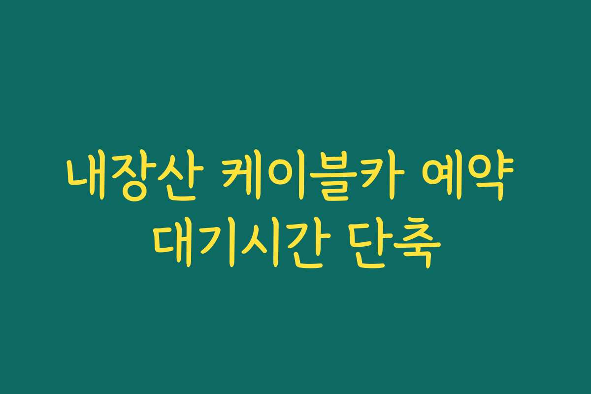 내장산 케이블카 예약 대기시간 단축