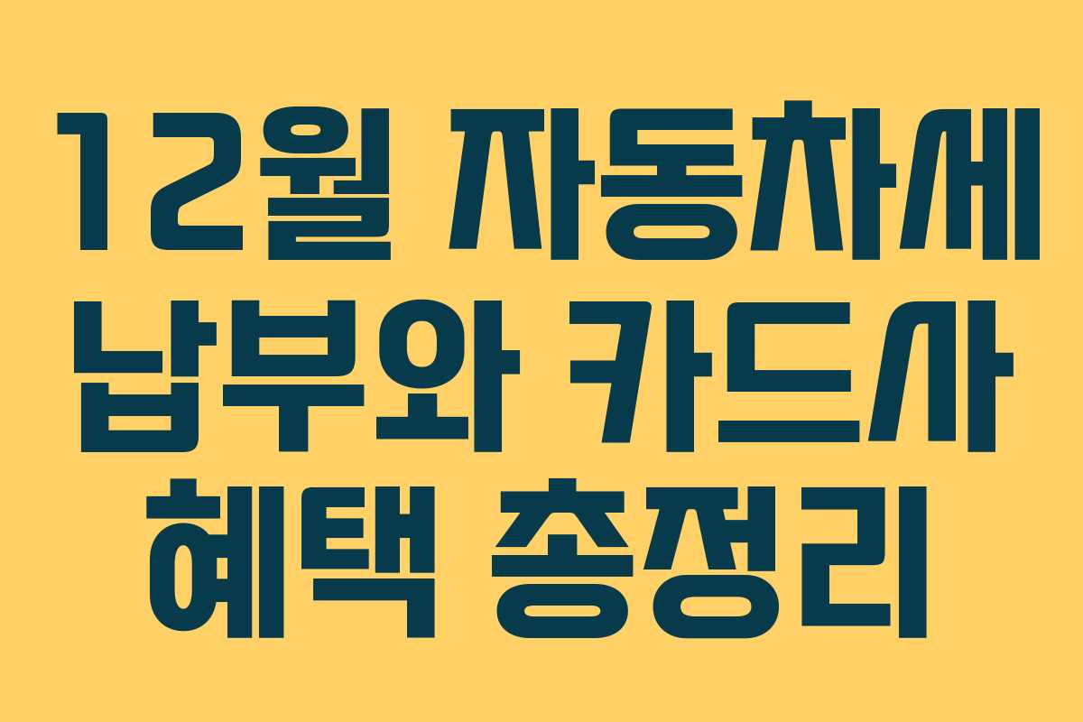 12월 자동차세 납부와 카드사 혜택 총정리