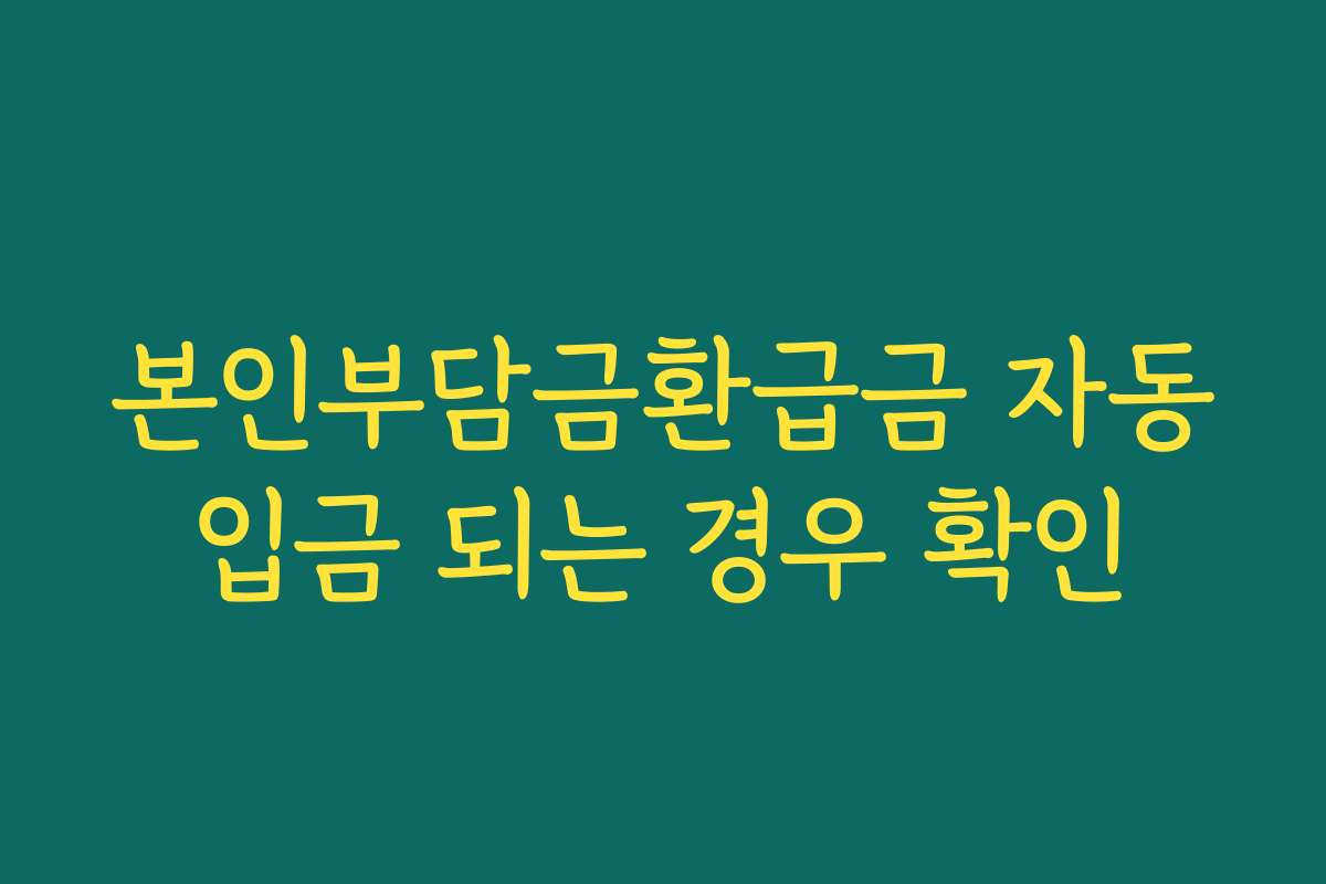 본인부담금환급금 자동입금 되는 경우 확인