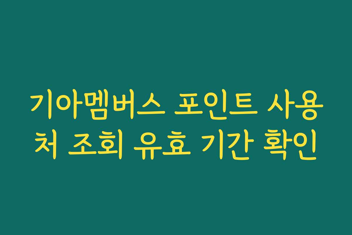 기아멤버스 포인트 사용처 조회 유효 기간 확인