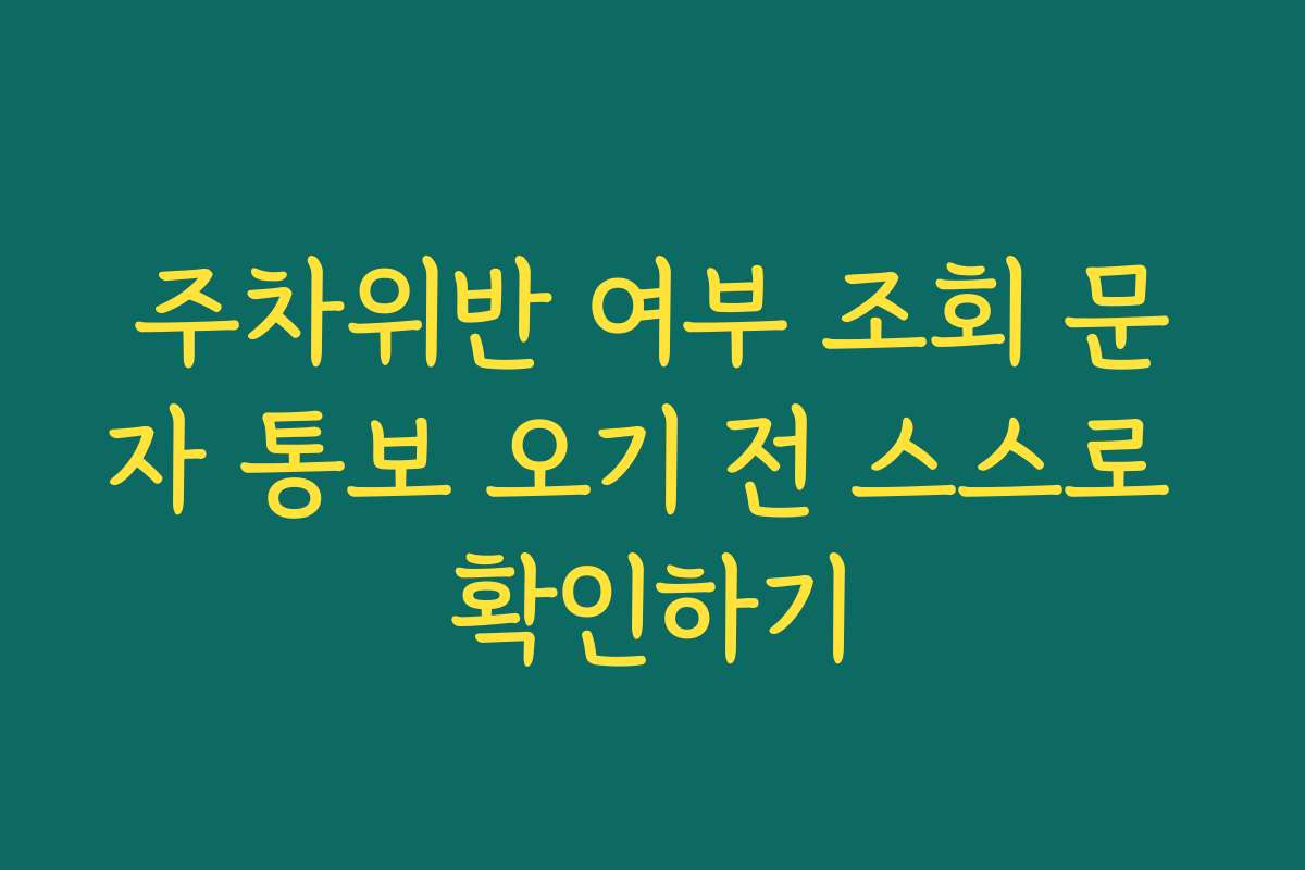 주차위반 여부 조회 문자 통보 오기 전 스스로 확인하기