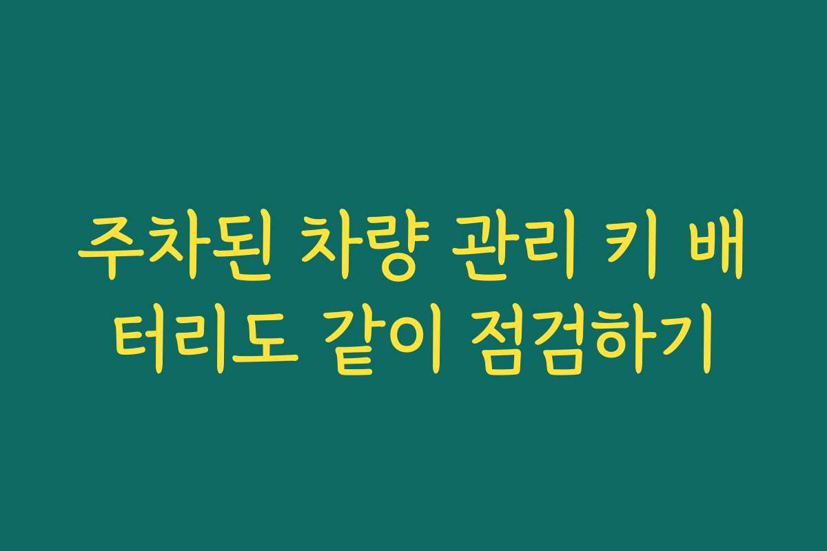 주차된 차량 관리 키 배터리도 같이 점검하기