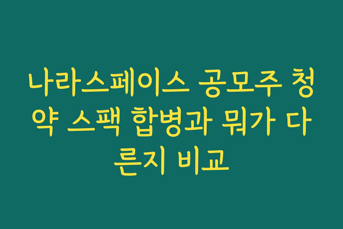 나라스페이스 공모주 청약 스팩 합병과 뭐가 다른지 비교