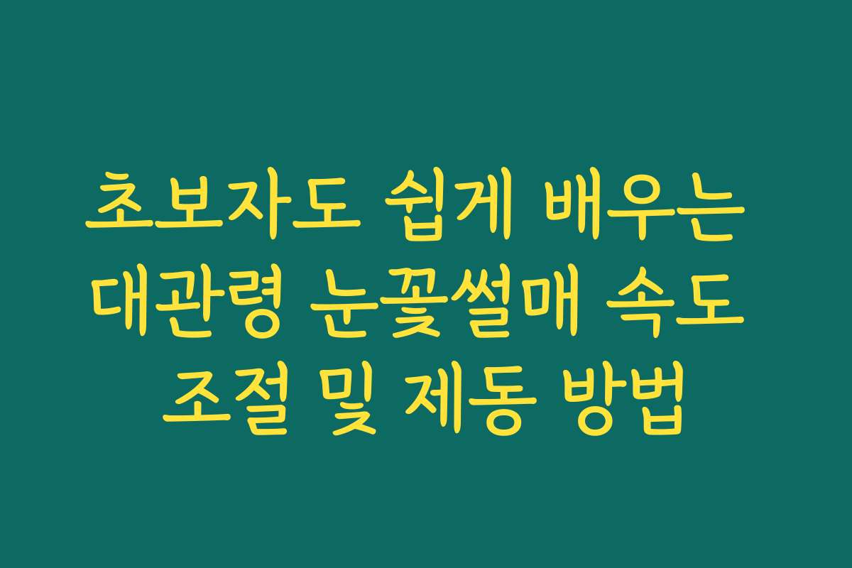 초보자도 쉽게 배우는 대관령 눈꽃썰매 속도 조절 및 제동 방법