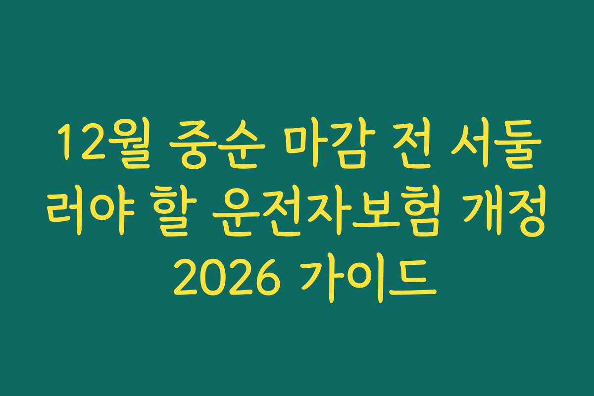 12월 중순 마감 전 서둘러야 할 운전자보험 개정 2026 가이드
