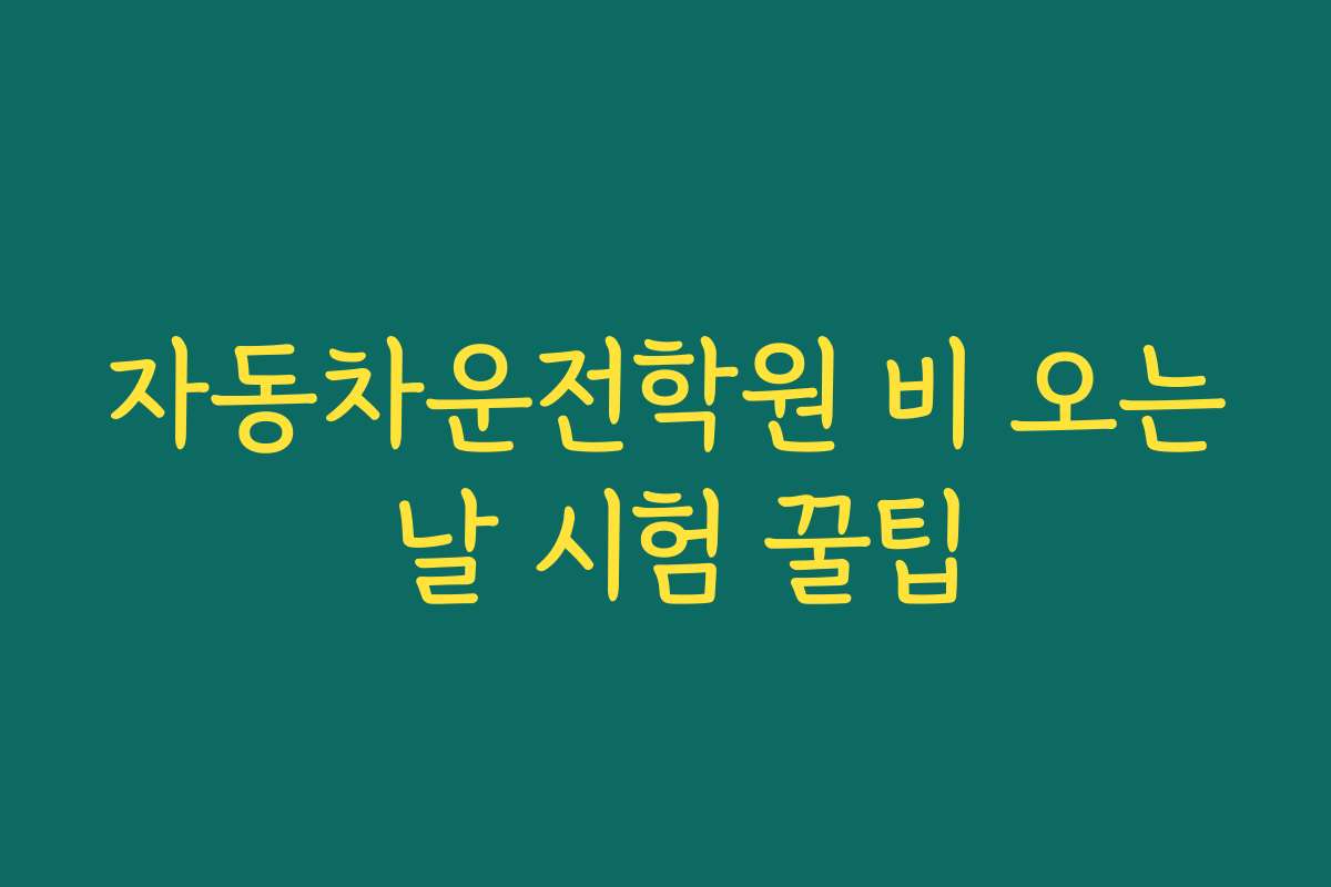 자동차운전학원 비 오는 날 시험 꿀팁