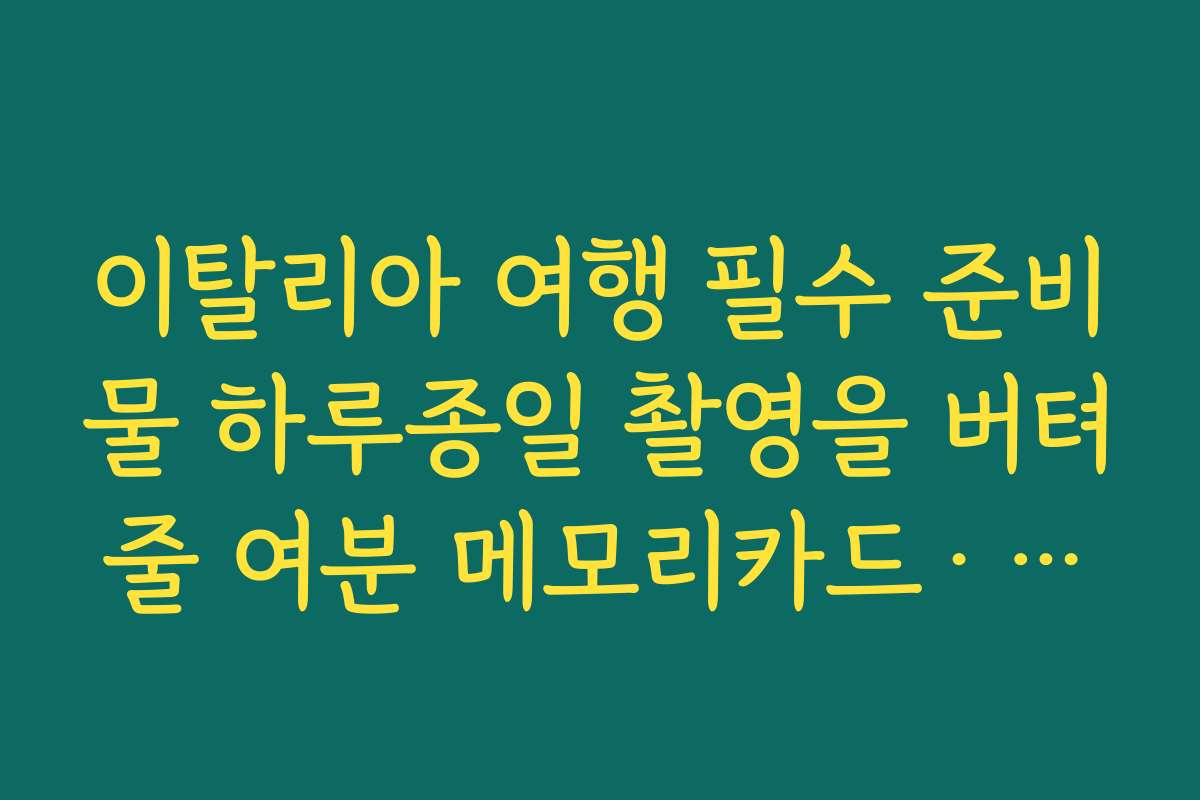 이탈리아 여행 필수 준비물 하루종일 촬영을 버텨줄 여분 메모리카드·카메라 배터리